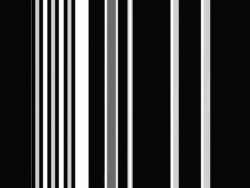 C40049