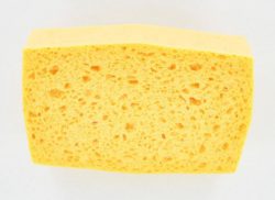 H10024